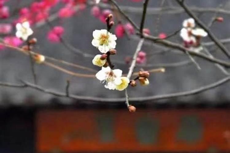 梦见手机丢了找到了别人的手机
