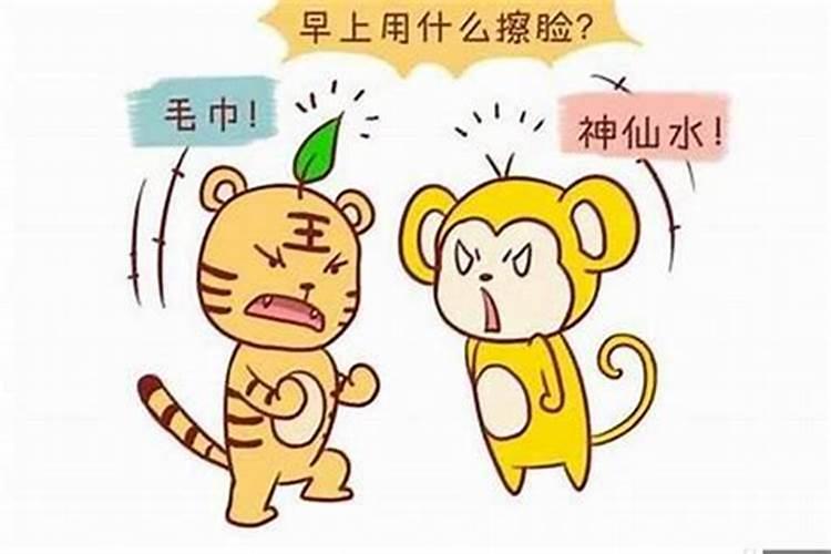 女虎与男猪配婚姻好不好