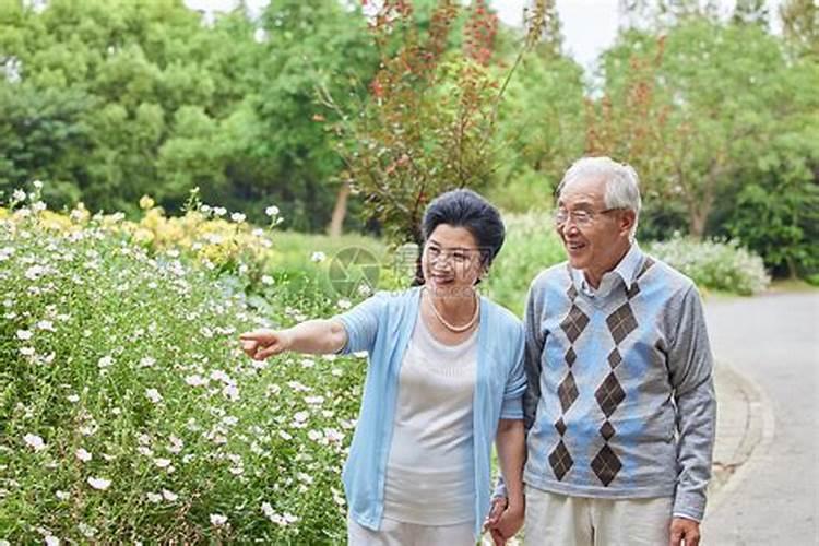 寒食节是什么节日