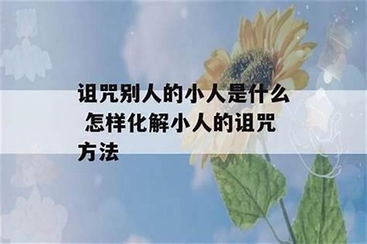 鼠84年多大