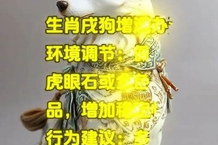 地支寅丑暗合感情 地支寅丑暗合好吗？