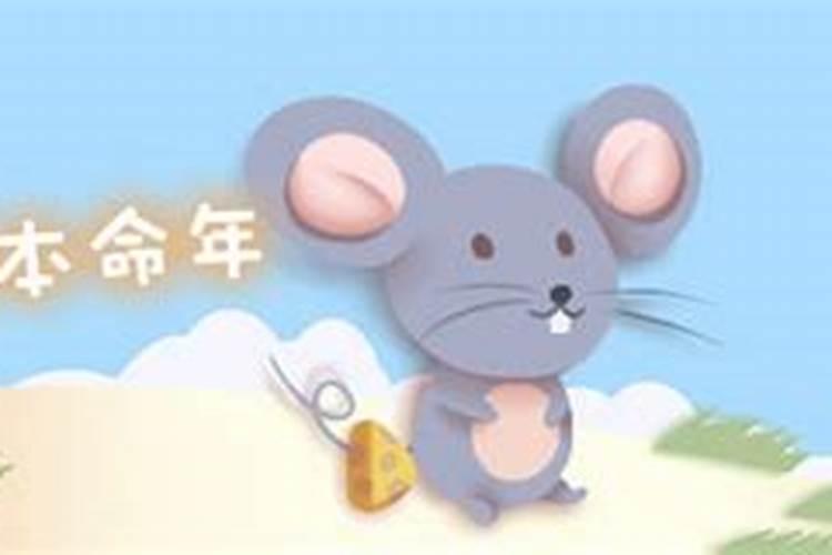 属鼠的本命年佩戴什么好转运