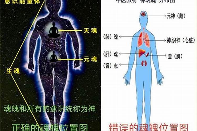 龙抬头是什么意思 龙抬头能不能出门