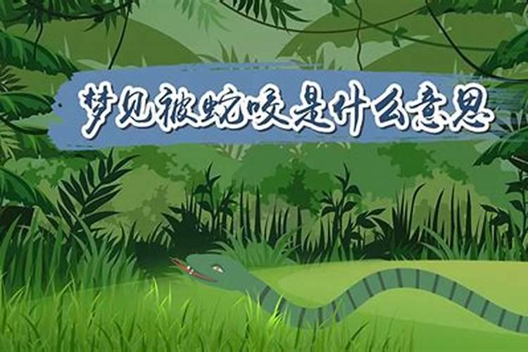怎么看自己生辰八字阴阳,如何知道自己的生辰八字