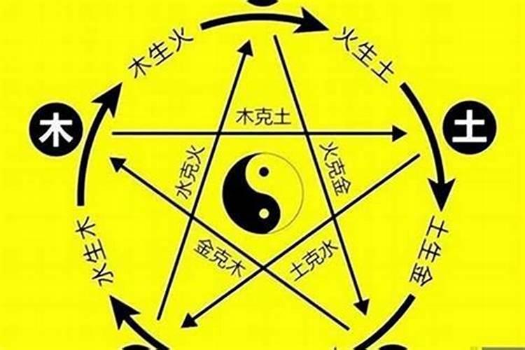 梦见厕所里虫子虫