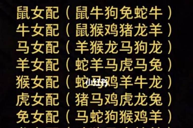 商州有那些好玩的地方