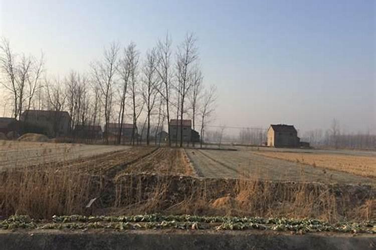 丑年是什么年