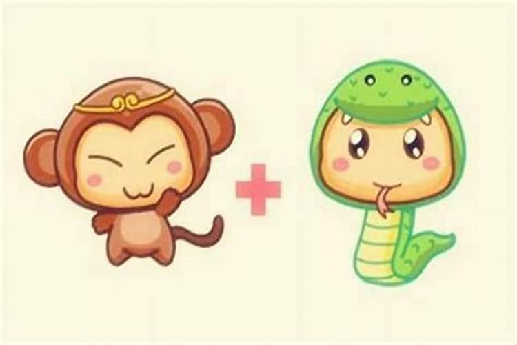 三国演义中孙策是什么生肖