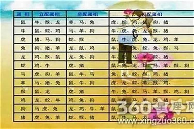 属相婚配真的很准吗