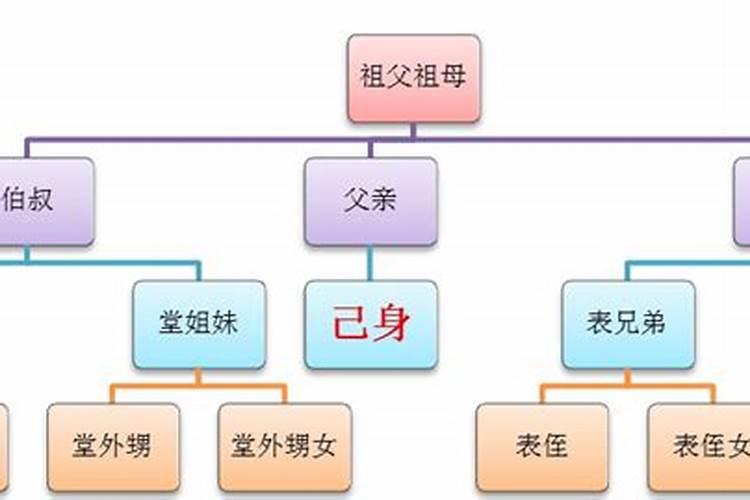 梦见黑猫向我扑过来的预兆