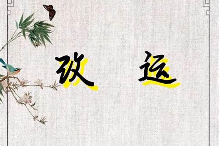 2024春节去上海迪士尼要买烟火前排的位置吗 春节去上海迪士尼看烟花提 ...