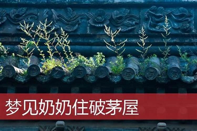 梦见奶奶家老宅的预兆
