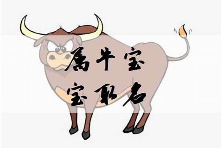 梦见大黄猫代表什么？