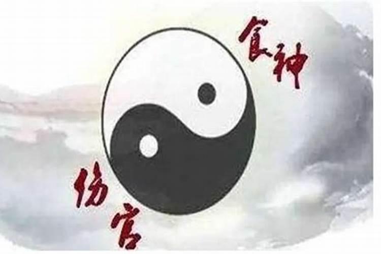 2025年出生的孩子是什么命