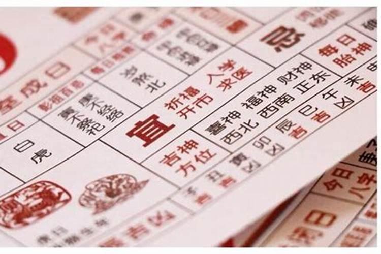 重阳节吃什么食物
