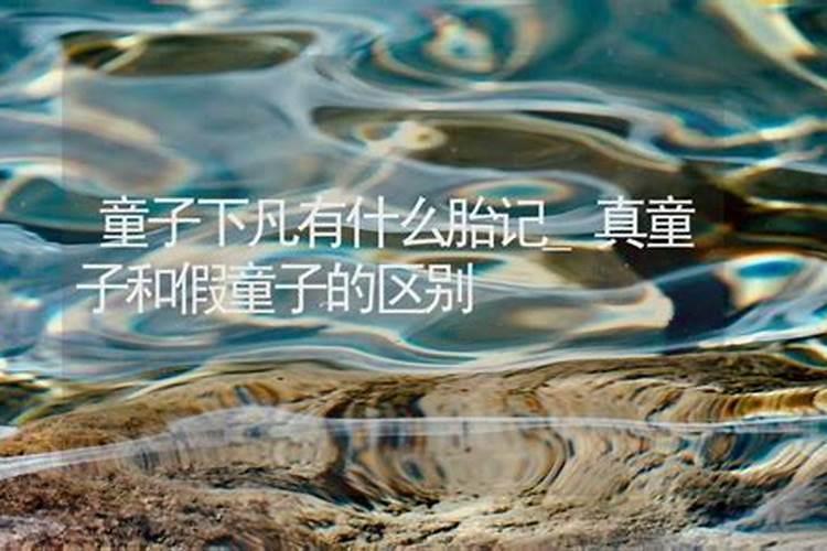 2025年属龙人的全年运势详解