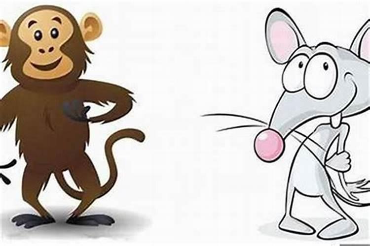 梦到死猫是什么意思？