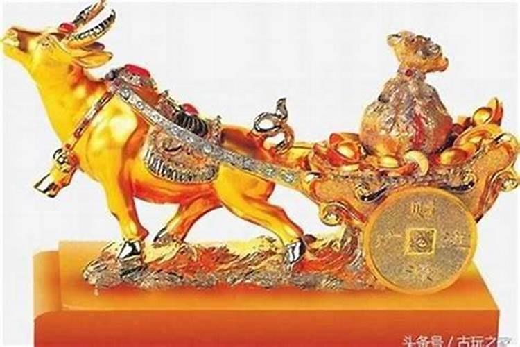 农历1995年8月26日属猪人是属阴还是属阳？