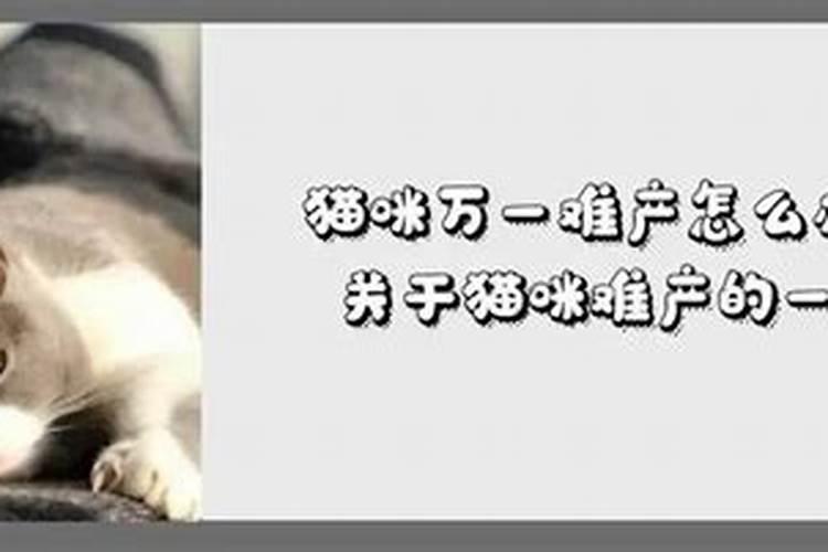 财神爷水果放几个合适