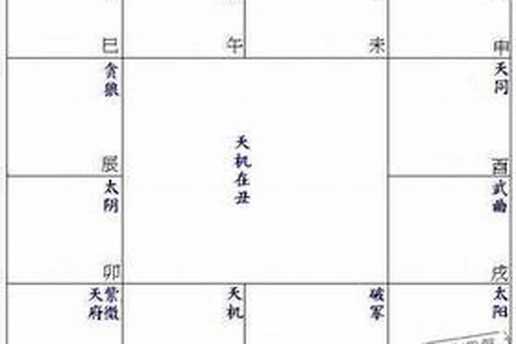 属虎人2025全年运势详解 属虎人2025年每月运势