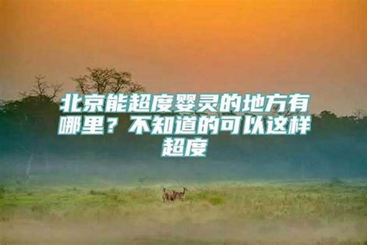 太岁挖出来还能种吗听说可以用水养起来还是晒干保存啊？
