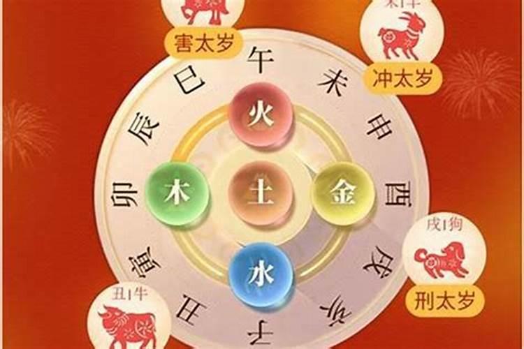 今年那几个属相犯太岁的生肖