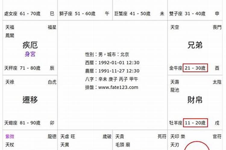 紫微斗数——谁帮我看看这是什么意思
