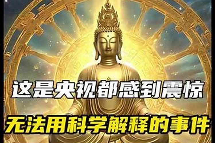 71年属猪男2025年运势