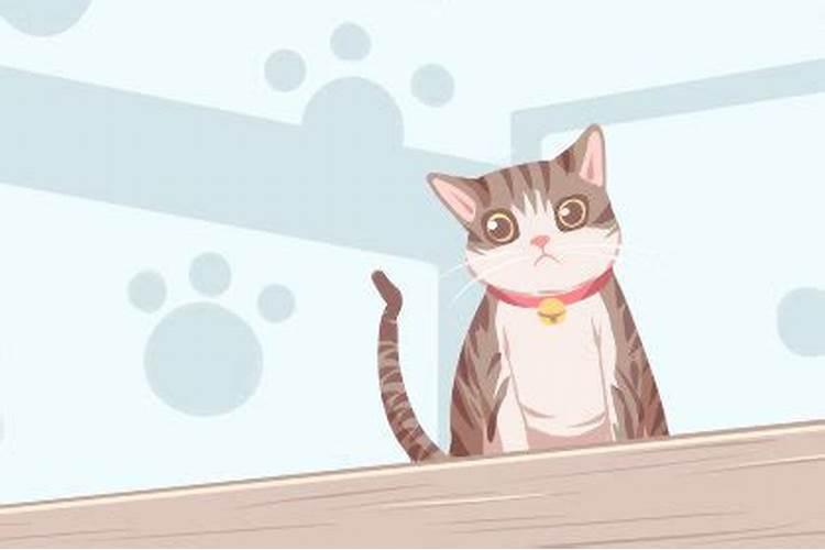 梦到猫生小猫是什么意思