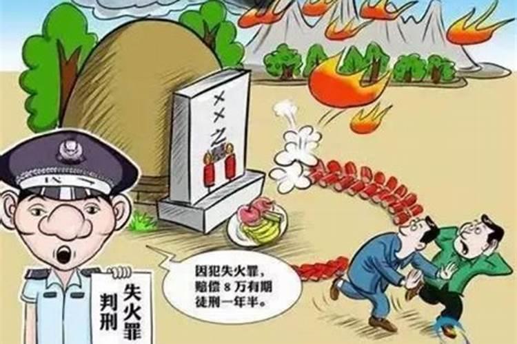 2025年属兔运势