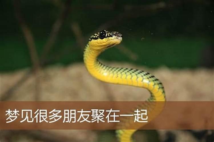 算命的说做乞丐的命,心好乱怎么办