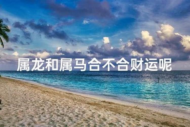八字合婚 属龙女和属马男婚姻相配吗？