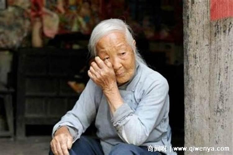 蛇年运程2025年十二生肖运势