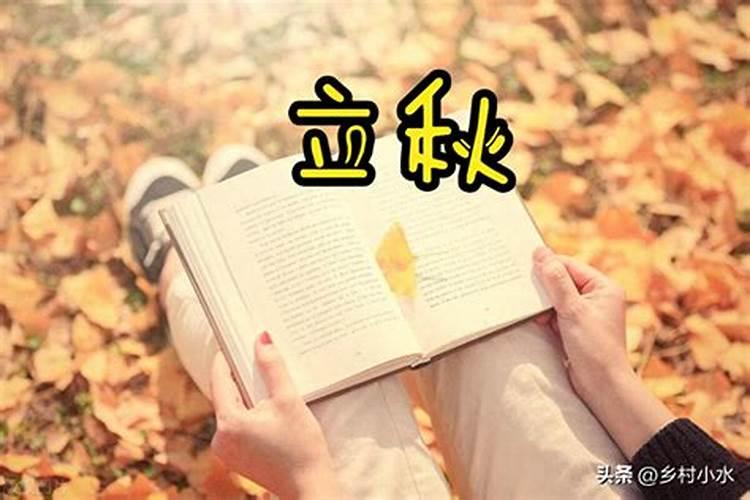 九一年农历六月八号出生的人是什么星座