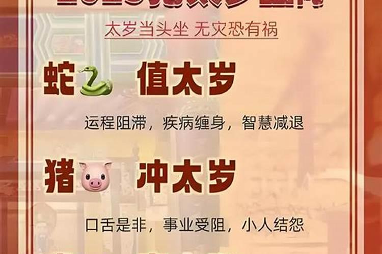 属马和属马的婚姻怎么样 两个属马的结婚合适吗