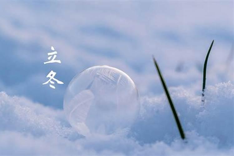 2025年71年属猪每月运势