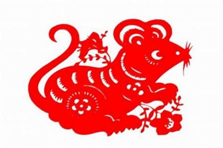 1996年阴历十月初一生的,命怎么样？