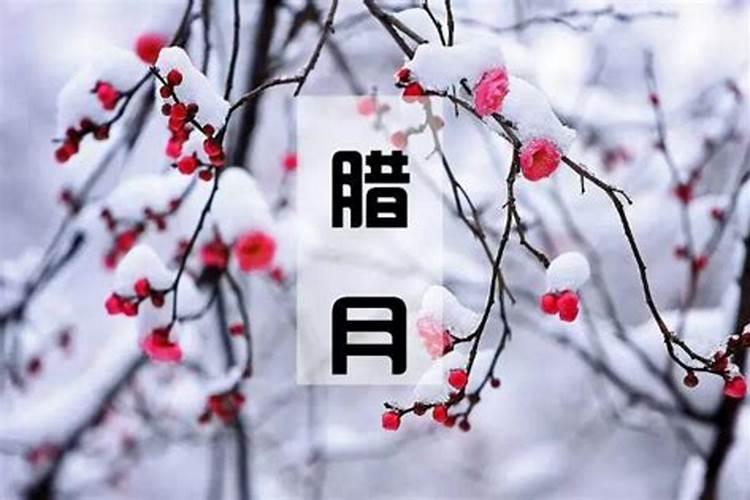 74年属虎男2025年运势