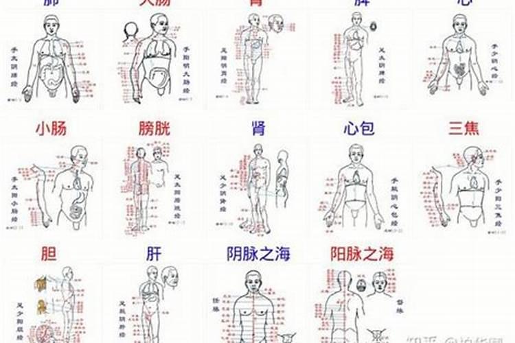 梦见家里来了很多客人吃饭的预兆