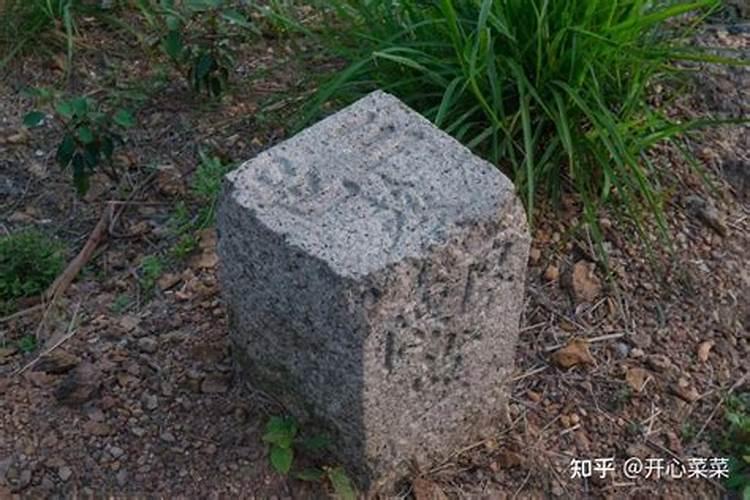 周易测命 农历七月十九出生是什么命 哪个时辰出生好？