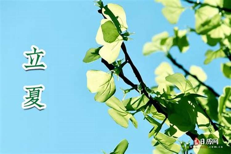演员在网上的资料里公布的出生年份和生日有虚报造假的吗？