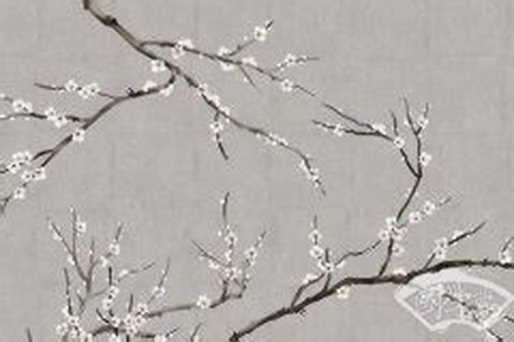 日柱有墓库代表什么,墓库在日柱是什么意思
