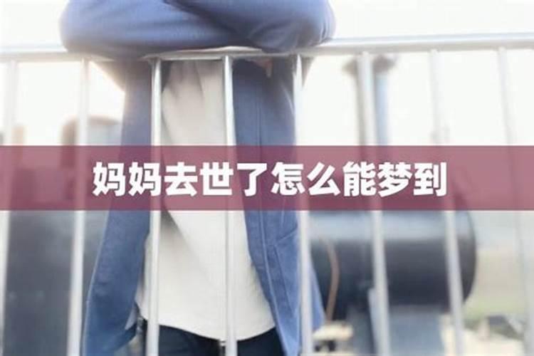 属虎2025年犯太岁怎么化解