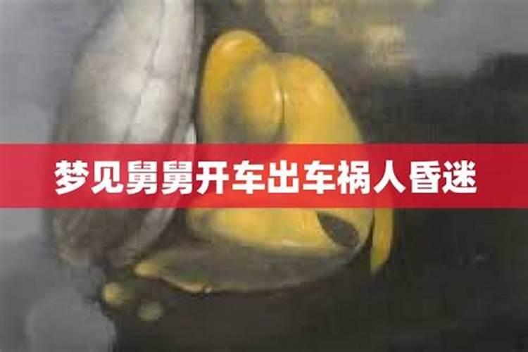 梦见不会开车的人开车