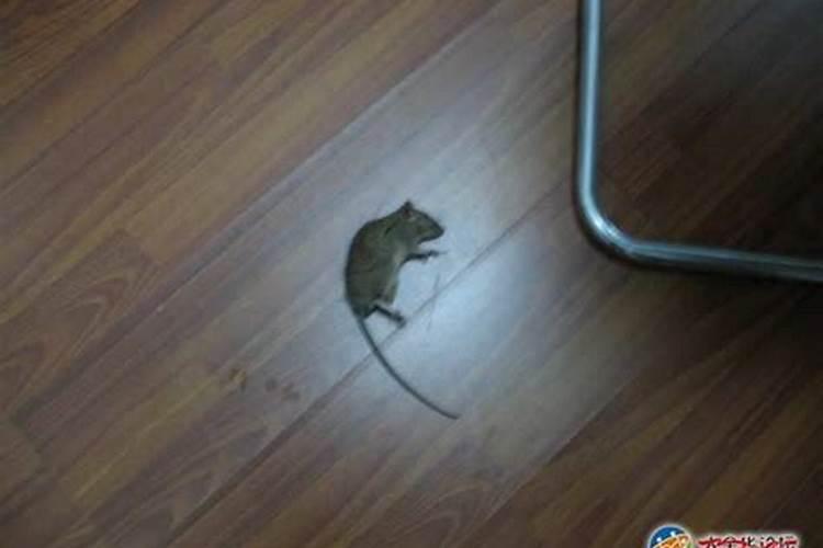 梦见与死人睡一张床上