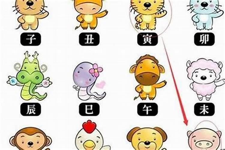 猴人见鼠年逐月的运势,鼠年猴子的运势如何