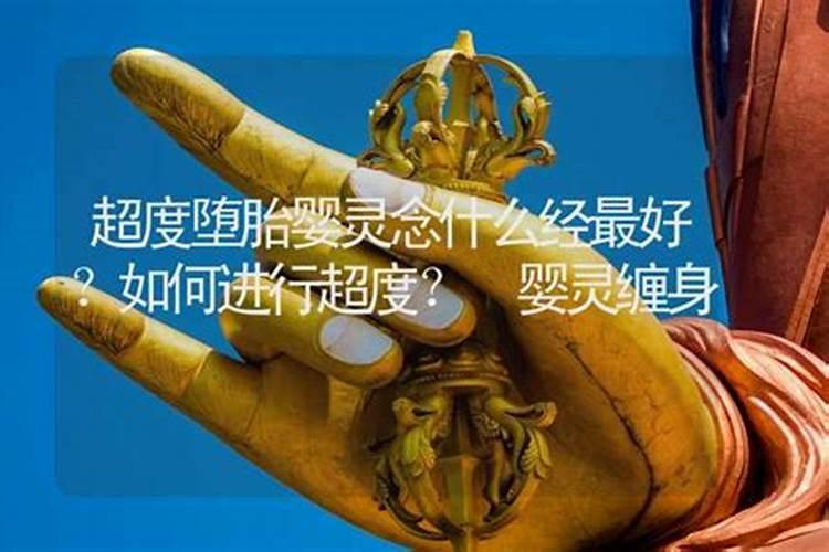 2025年冲太岁的生肖