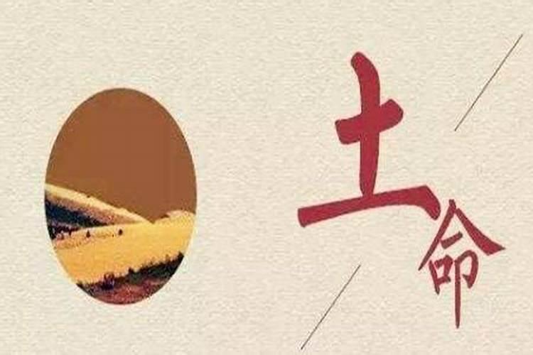 66年属马在2025年运气如何