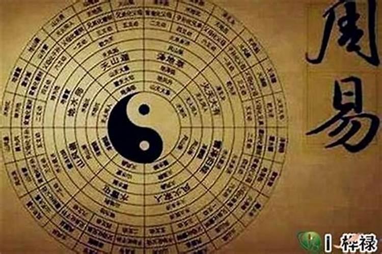我是新手想学四柱预测,有人推荐我向任付红老师学,不知有哪位大师是否...