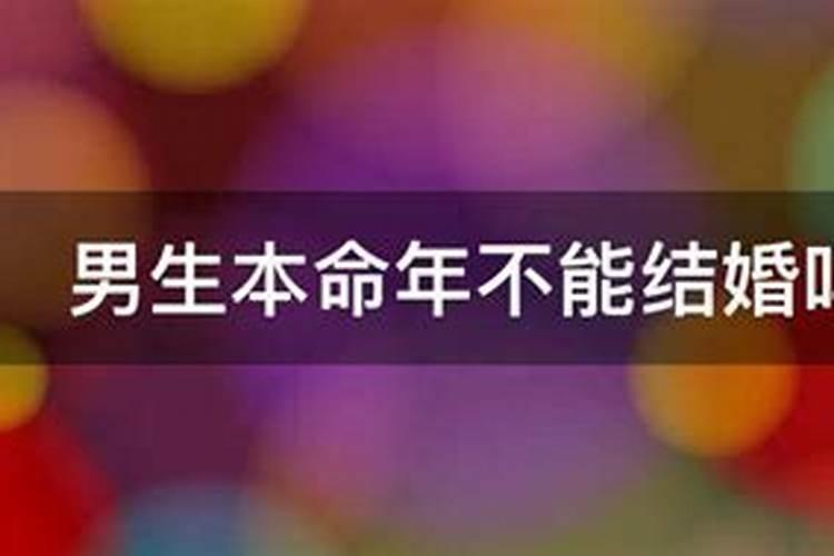 新桥有什么饭店好吃